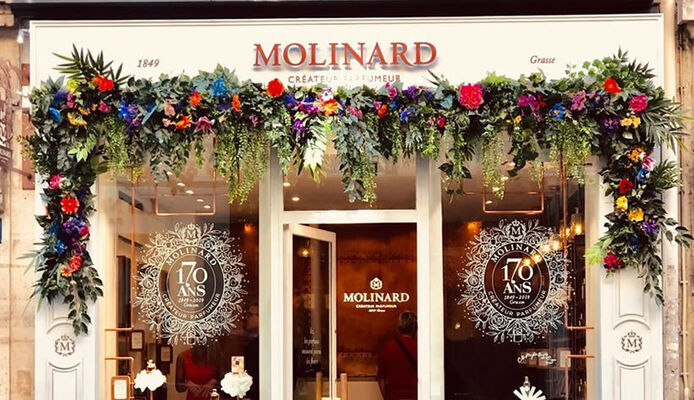 novedades molinard