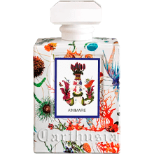 Carthusia A'mmare Eau De Parfum Spray 100ml