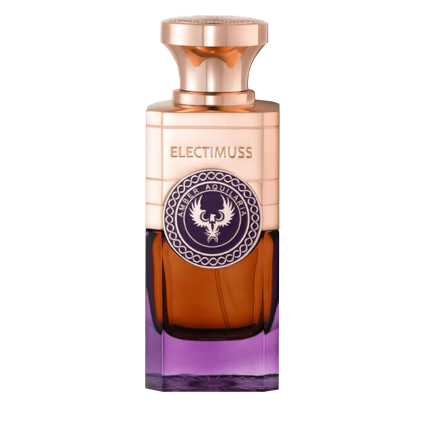 Electimuss Amber Aquilaria Extrait De Parfum Spray 100ml