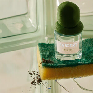 FASCENT | ニッチな香水 ヨーロッパのブランド | BeautyTheShop