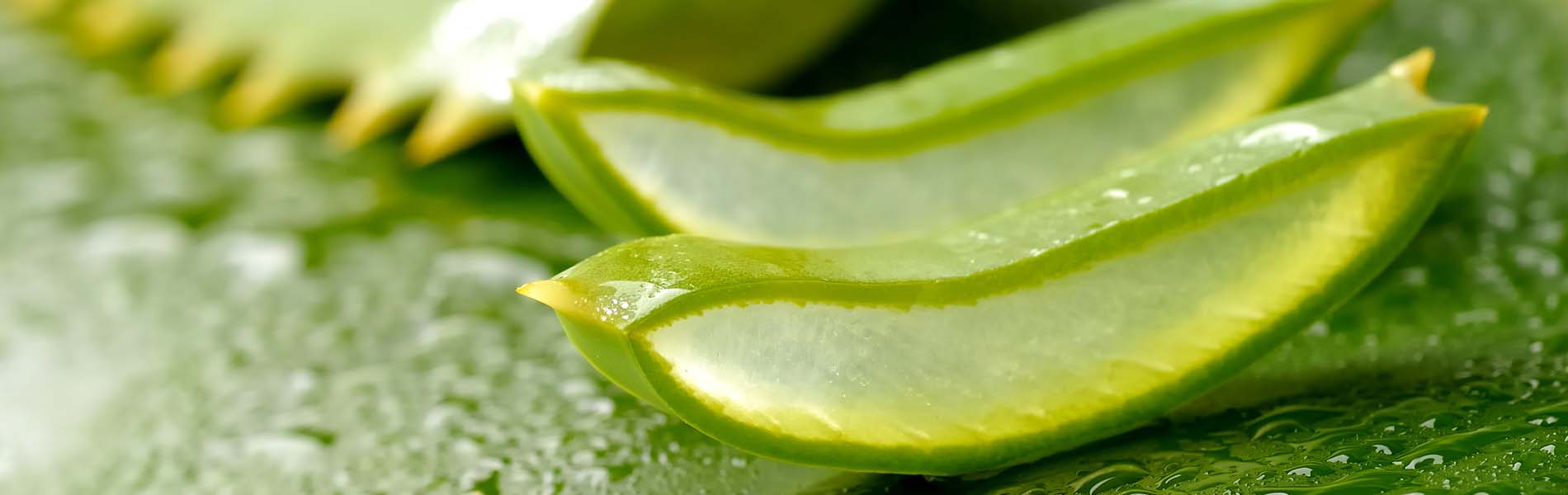 Cosmesi biologica, bellezza responsabile 
