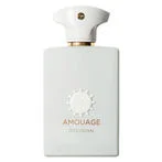 Amouage Decision Eau De Parfum Spray 100ml