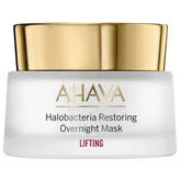 HALOBACTERIA HALOBACTERIA