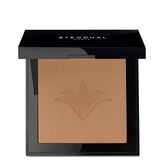 Stendhal Perfecting Compact Powder 131 Ambre 9g