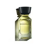 Oman Luxury Wanderlust Eau De Parfum Spray 100ml Oman Luxury Wanderlust Eau De Parfum Spray 100ml