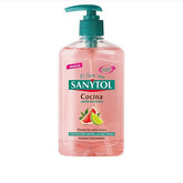 Sanytol Kitchen Hand Soap 250ml