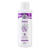 Valquer Shampoo Alla Cipolla 1000ml