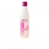 Salerm Cosmetics Hi Repair Shampoo 250ml