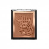Wet N Wild Color Icon Polvos Bronceadores E743B What Shady Beaches