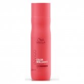 Wella Invigo Color Brilliance Shampoo Coarse Hair 250ml