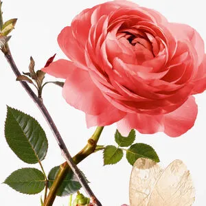 0711367109564.webp