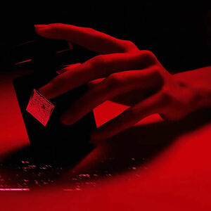 3701415902008_2.jpg