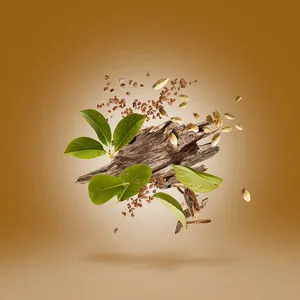 8033488159160_2.webp