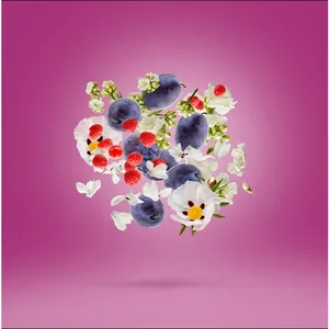 8054320902690_4.webp