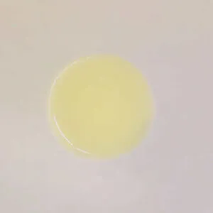 8436037209604_4.webp