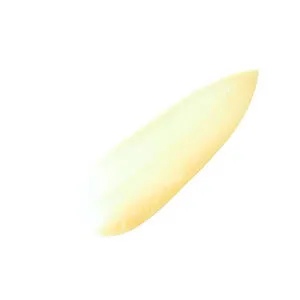 8436593273026_1.webp