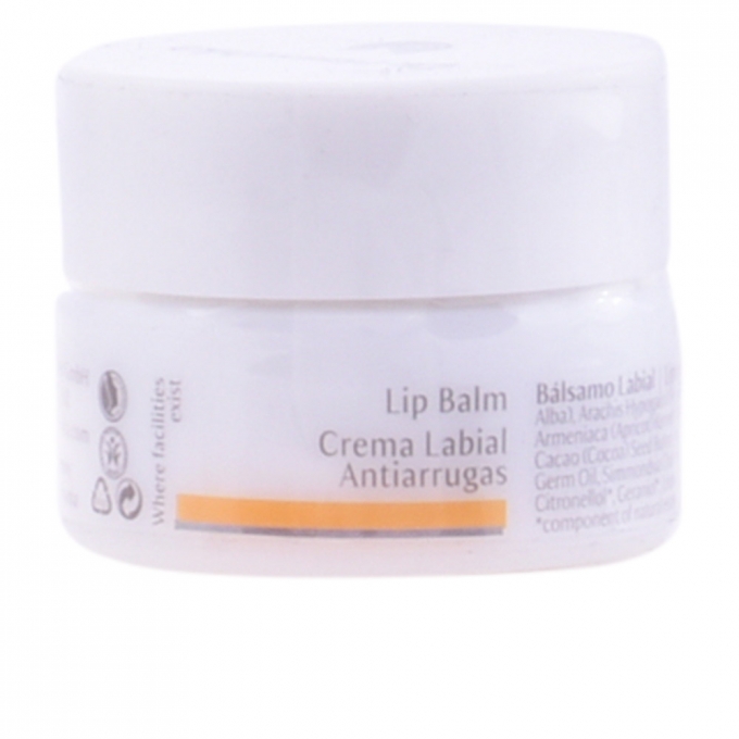 optager skal beskyttelse Dr Hauschka Lip Balm Anti-wrinkle 4.5 ml | Beauty The Shop - The best  fragances, creams and makeup online shop