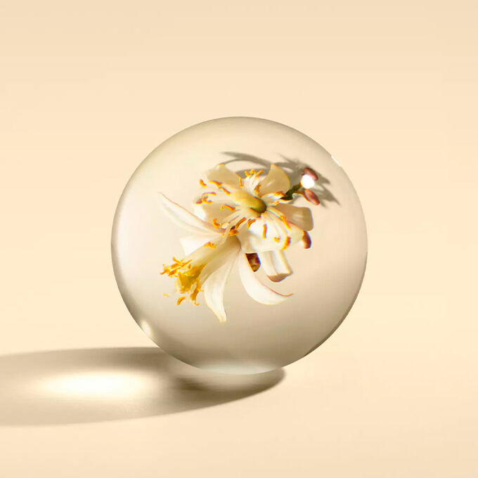 Molton Brown Orange & Bergamot Body Lotion 300ml Nischendüfte