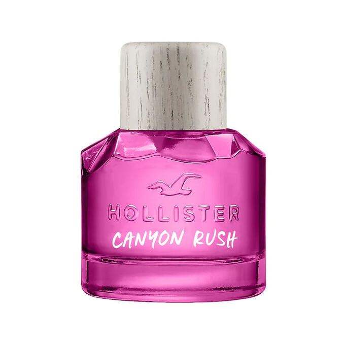 hollister online shop
