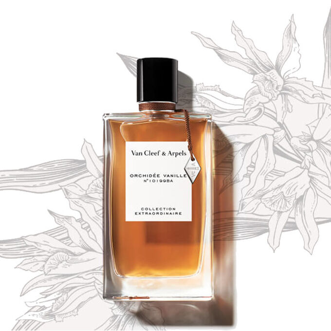 produzieren Versteigerung falls Sie können van cleef arpels vanille orchidee die