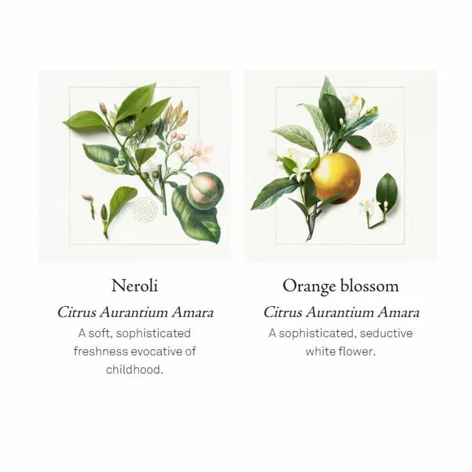 L'Artisan Parfumeur Histoire D'Orangers Extreme Eau De Parfum Spray 100ml