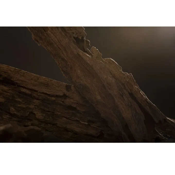 Ex Nihilo Santal Calling Eau De Parfum Spray 100ml | ニッチな香水