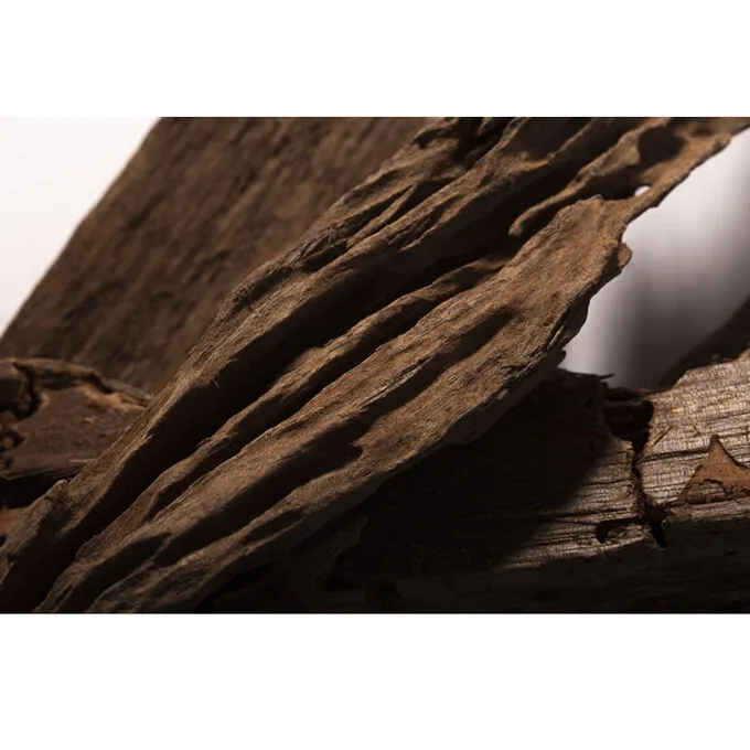 Ex Nihilo Santal Calling Eau De Parfum Spray 100ml | ニッチな香水