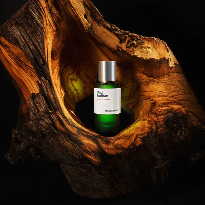Maison Crivelli Oud Stallion Extrait De Parfum Spray 50ml | ニッチ