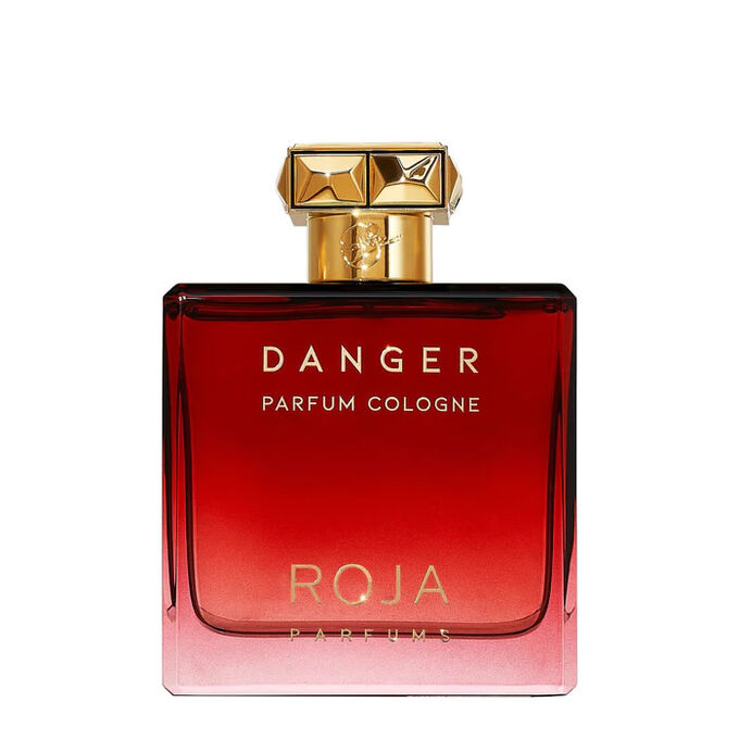 格安 Homme Pour Danger Roja Parfum ニッチな | 100ml Spray Cologne 香水(男性用)