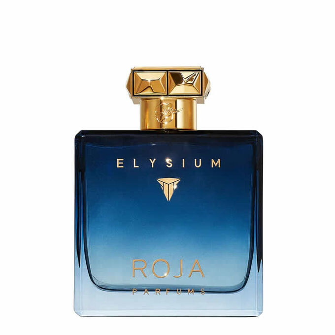 Roja Elysium Pour Homme Eau De Parfum Cologne Spray 100ml