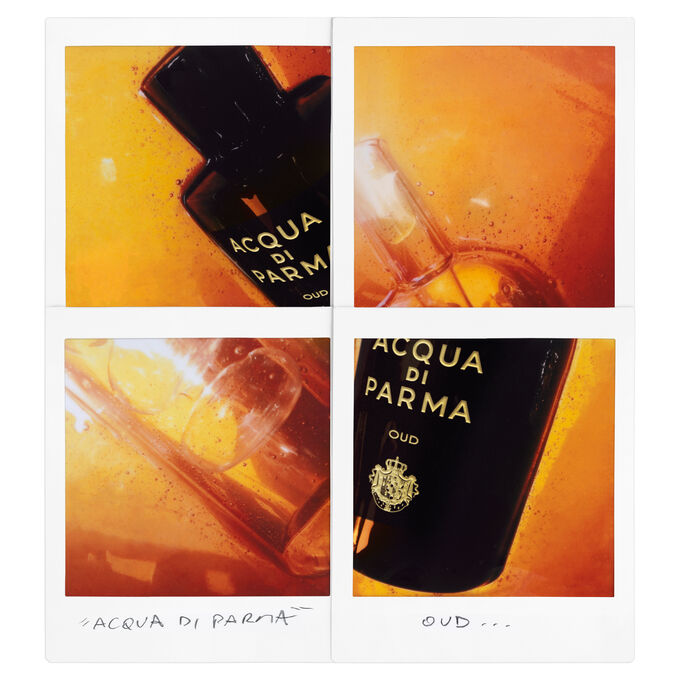 Acqua Di Parma Oud Eau De Parfum Spray 180ml Beauty The Shop Cremes Maquilhagem Loja On Line Acqua Di Parma Oud Eau De Parfum Spray 180ml Beauty The Shop Cremes Maquilhagem Loja On Line