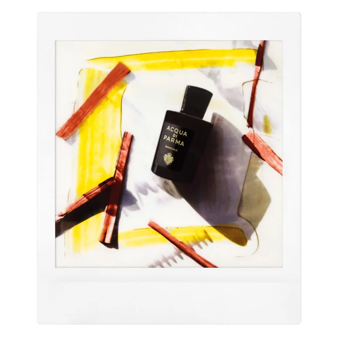 Acqua Di Parma Sandalo Eau De Parfum Spray 100ml | ニッチな香水