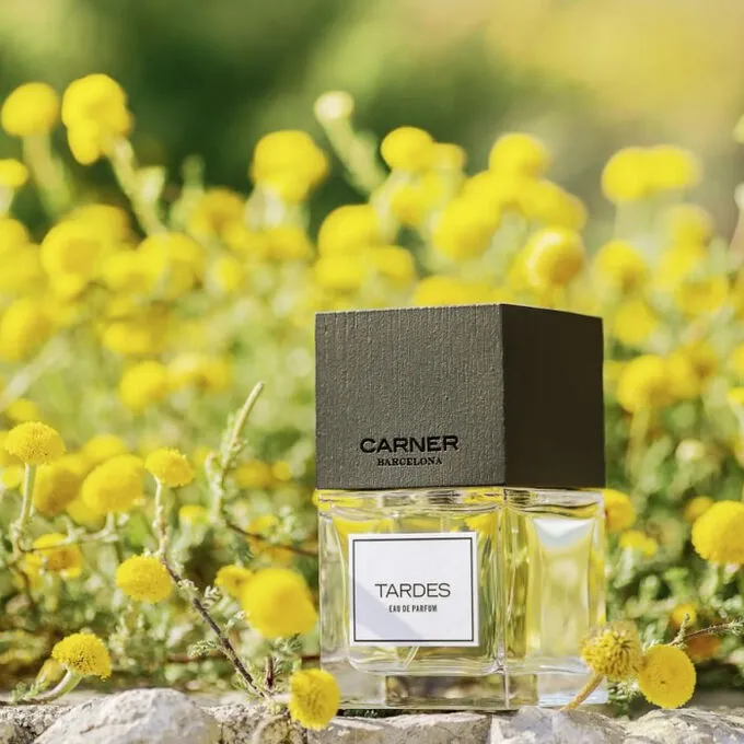 Carner Barcelona Tardes Eau De Parfum Spray 100ml | ニッチな香水