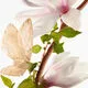 0711367109502.webp