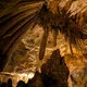 3770034994091_3.webp