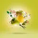 8054320900009.webp