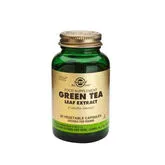 Solgar Spf Green Tea-Leaf Extract 60 Capsules Solgar Spf Green Tea-Leaf Extract 60 Capsules