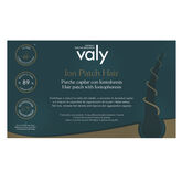 Valy Ion Patch Hair Iontophoresis Hair Patch 60 Patches