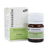 Lavande Sommité Fleurie Bio 60 Perles Pranarom