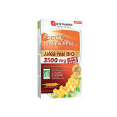 Gelée Royale Forte BIO 3500mg 10 Ampoules 15ml
